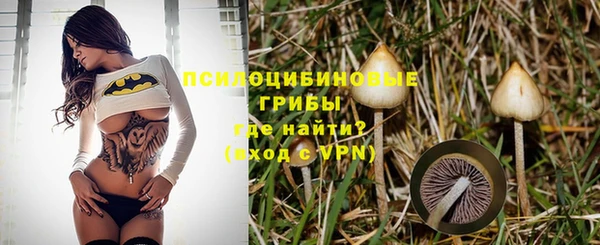 бошки Абдулино