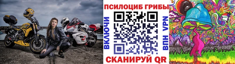 Псилоцибиновые грибы Magic Shrooms  Хабаровск 